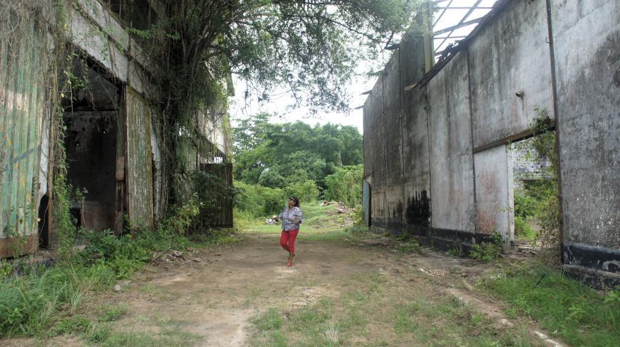 Rosemary Samadhan loopt tussen de ruïne van de oude suikerfabriek. Foto Zoë Deceuninck