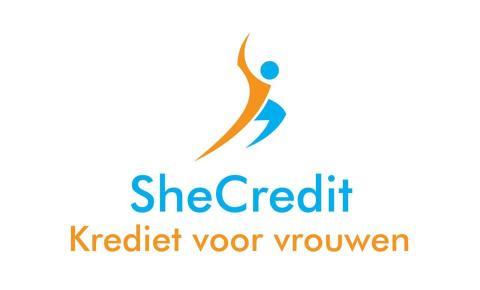 SheCredit wil vrouwelijke MKB-er helpen met het juiste krediet | Afro Magazine