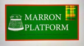 logo Marron Platform