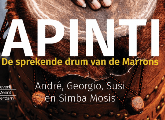 Boek Apinti
