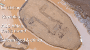 Africa and Technology