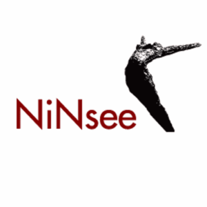 NiNsee: noodklok over discriminatie is stap in erkenning van probleem