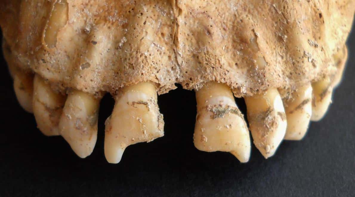 Reconstructie van Afrikaanse afkomst nog beter mogelijk