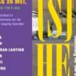 (S)HE: searching for the other