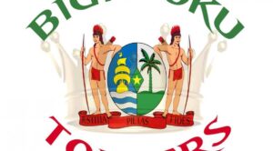 BIGI POKU TOPPERS - Theater de Meervaart