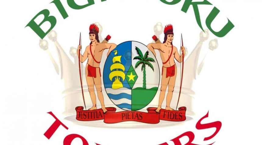 BIGI POKU TOPPERS - Theater de Meervaart