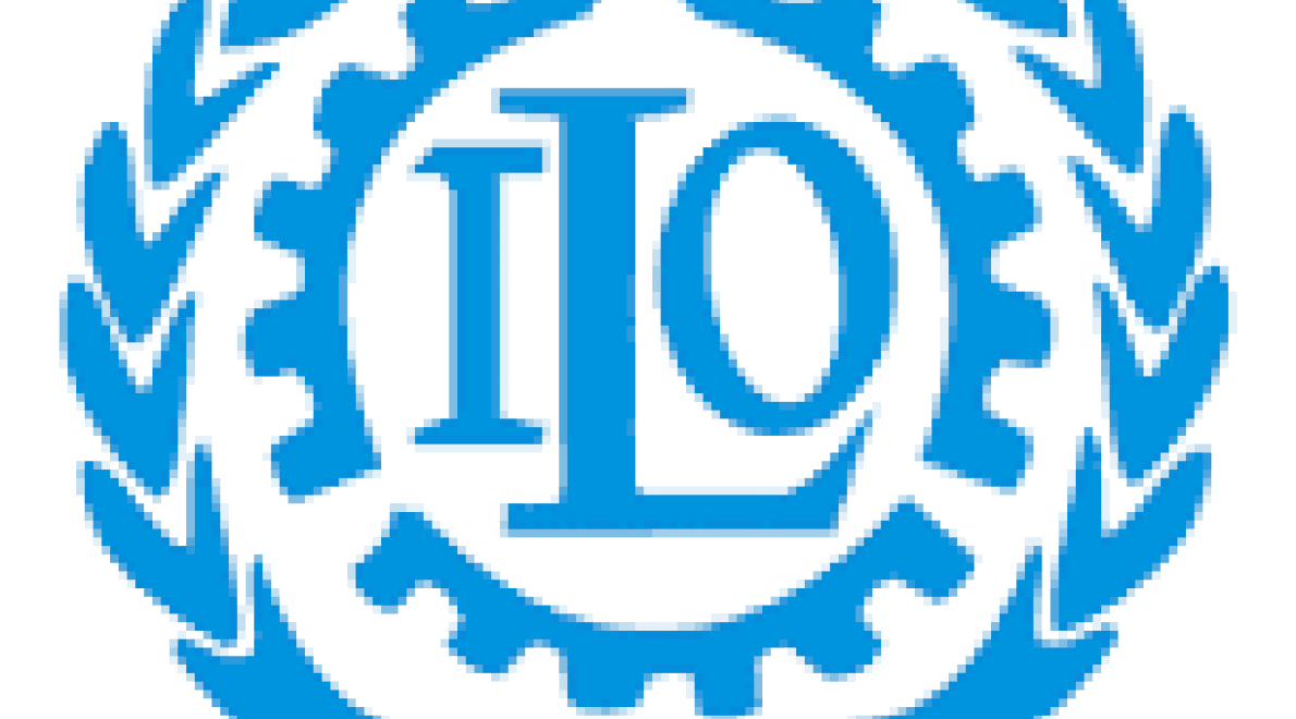 PAEJK-project wil Congolese jongeren, werklozen aan een job helpen