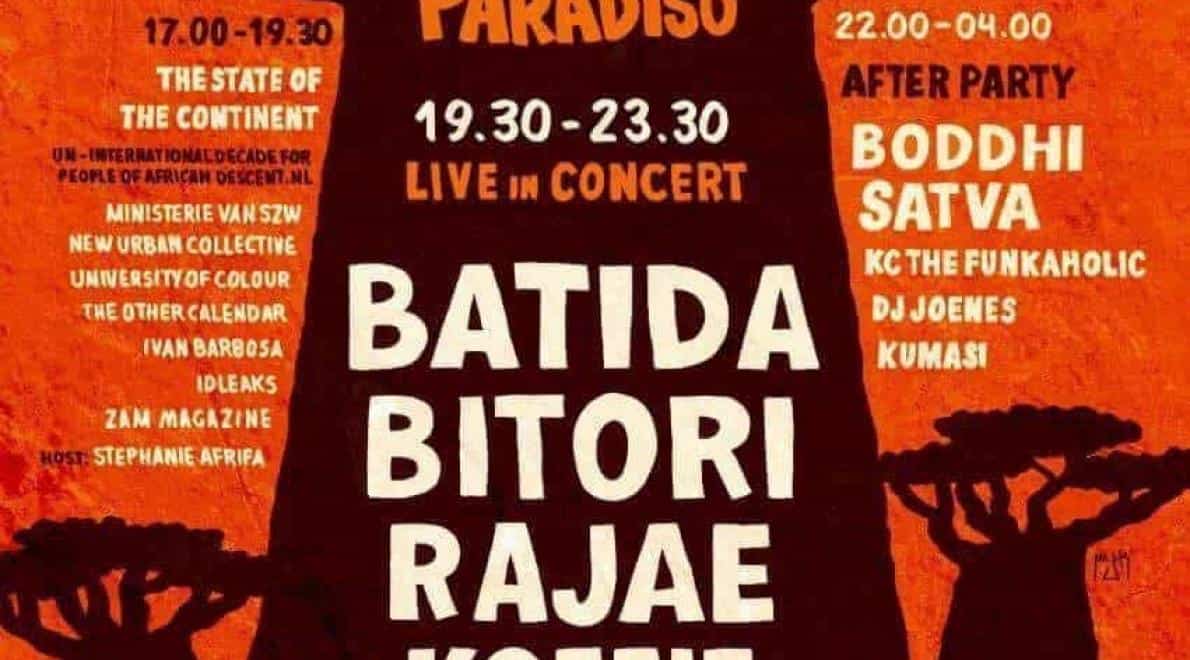 Verhalen uit Afrikaans perspectief tonen een krachtig Afrika