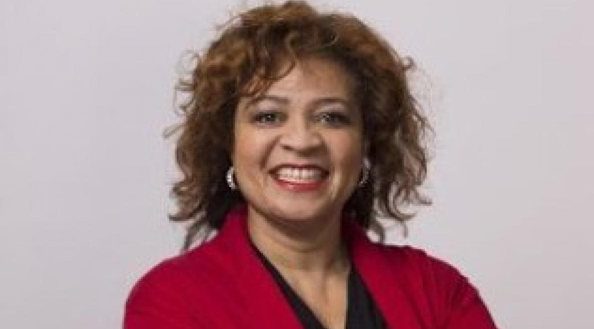 SHER PRACTICAL SERVICES; BETROKKEN BIJ DE AFRO-CARIBISCHE MARKT