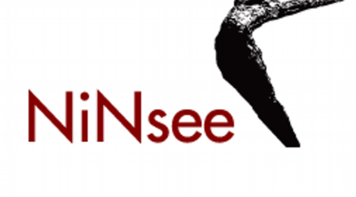 NiNsee: dialoog, wederzijds begrip, ferm ingrijpen door overheid nodig