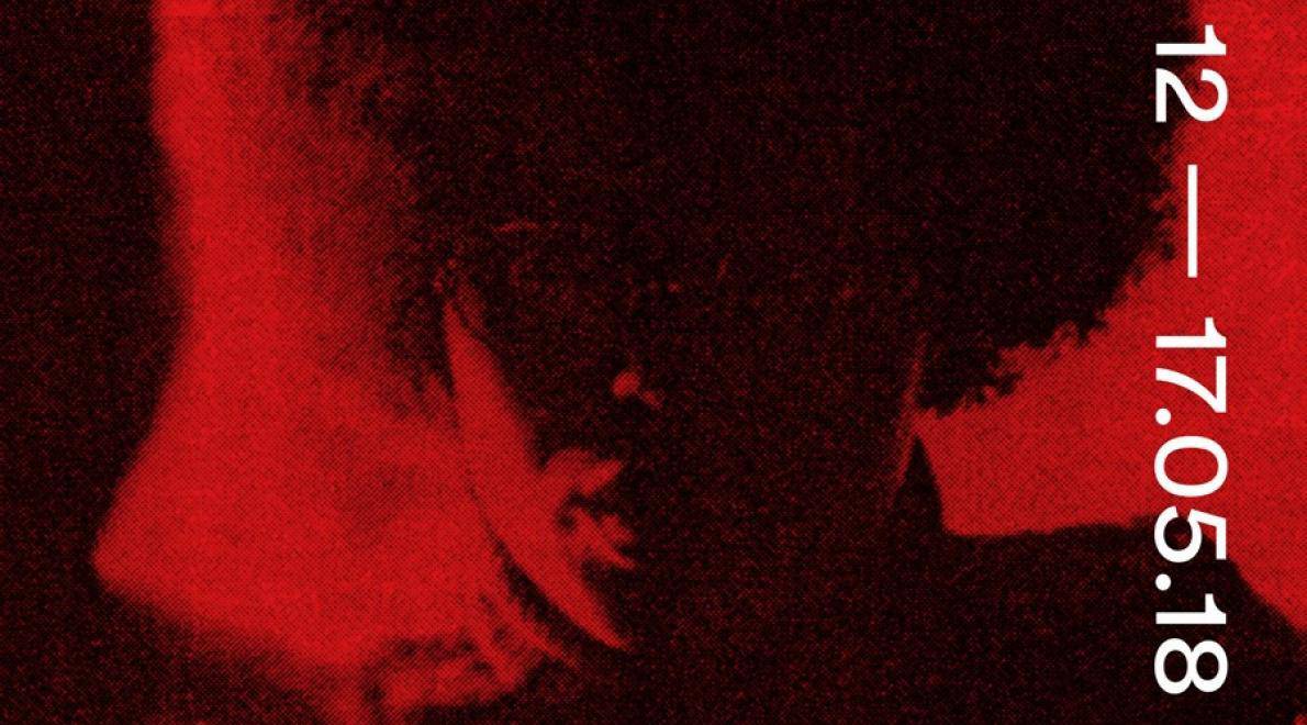 Meerstemmige en activistische perspectieven in het Tropenmuseum