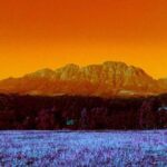 AFRO_VIBES | Portraits of Land