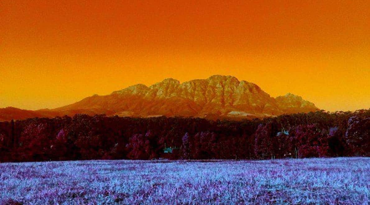 AFRO_VIBES | Portraits of Land