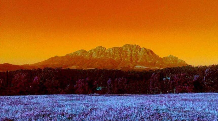 AFRO_VIBES | Portraits of Land