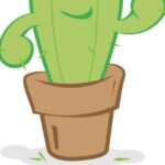 Kadushi Body Care Filiaal 2