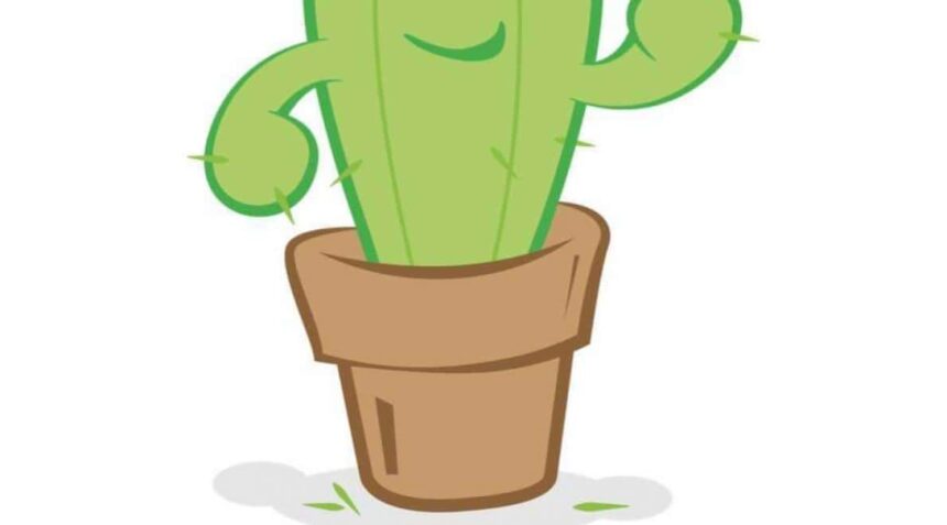 Kadushi Body Care Filiaal 2