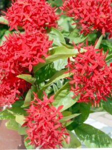 Racisme verdient geen uitleg of verdediging