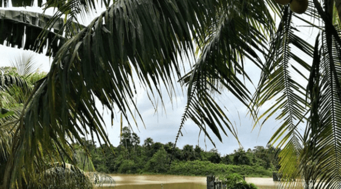 Aan de Surinaamse grachten - Van Loon & Suriname (1728-1863) | BAM