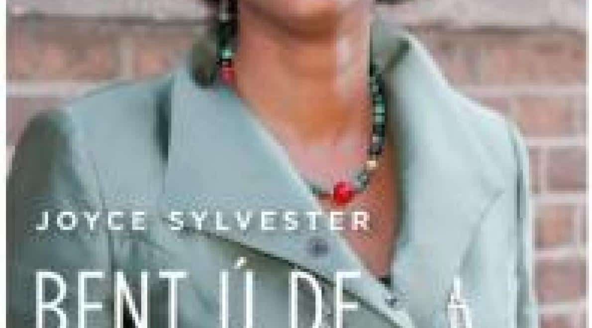 Bent ú de burgemeester? Autobiografie van een pionier