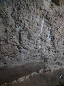 Poep. Braaksel. Urine