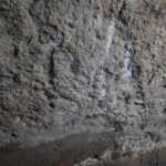 Poep. Braaksel. Urine