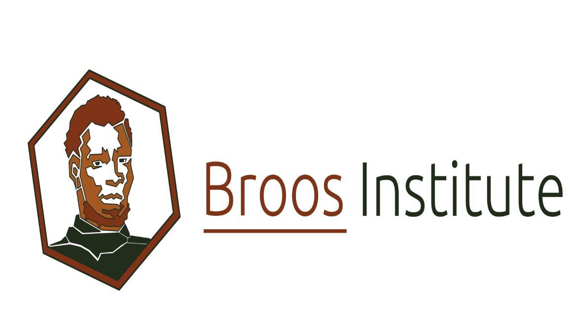 Het Broos Instituut (voor Afrocentrische Studies en Onderzoek)