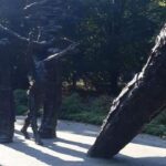 NiNSee: waardering voor leiderschap Klaas Knot