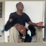 Een ontmoeting met Kiwi, het apenkind van Brigitte