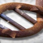 Ontrafel de Verloren Afrikaanse Roots