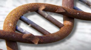 Ontrafel de Verloren Afrikaanse Roots