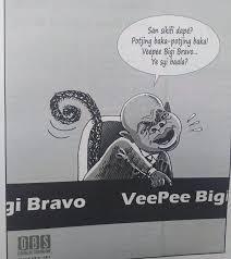 walgelijk brunswijk als aap